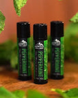 Lip Balm Four Pack