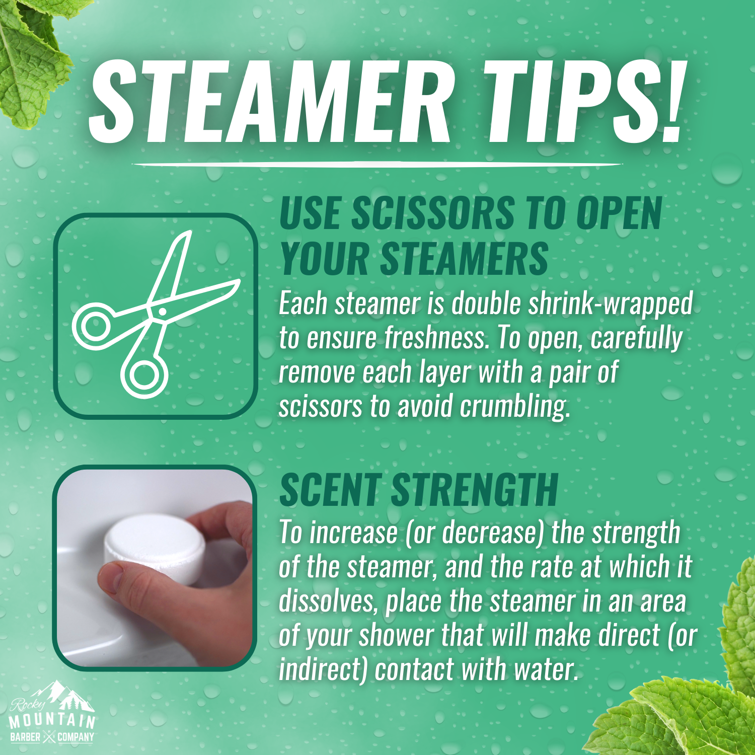 Shower Steamers | Menthol &amp; Mint