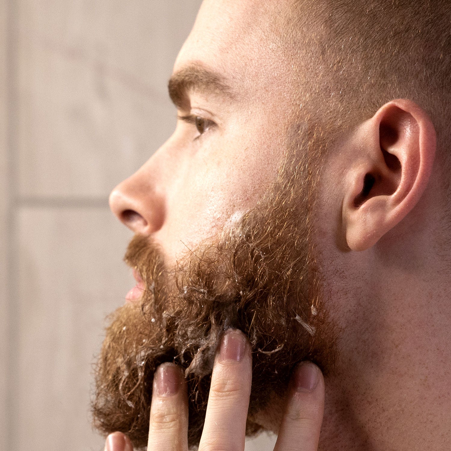 Foaming Sandalwood Beard Wash Used on Beard